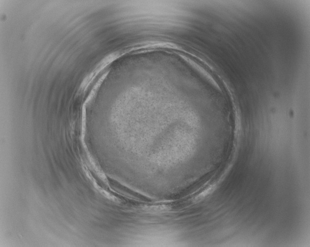 X0000051891001200507151934