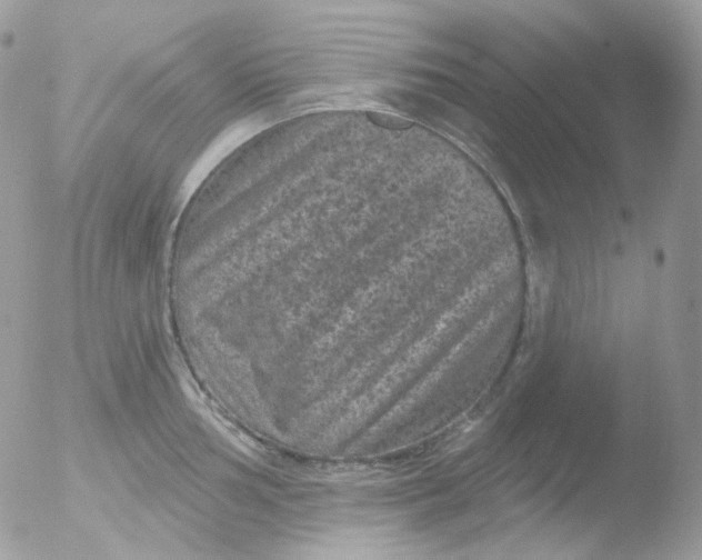 X0000051891002200507151934