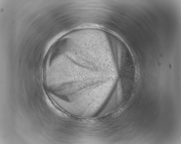 X0000051891003200507151934