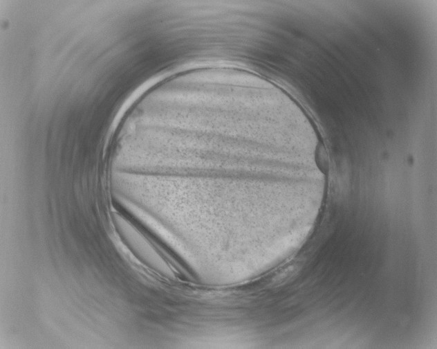 X0000051891004200507151934