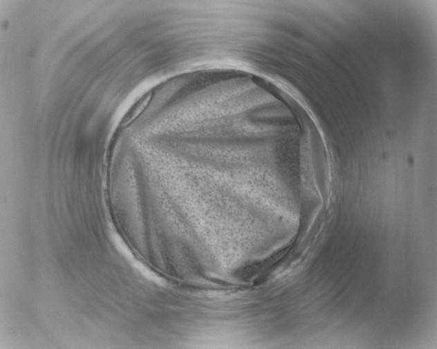 X0000051891005200507151934