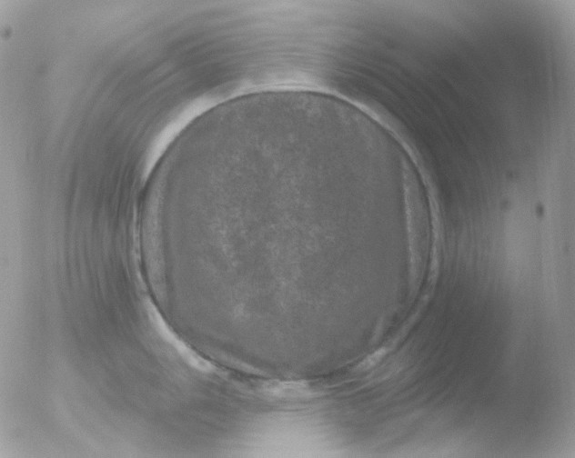 X0000051891006200507151934