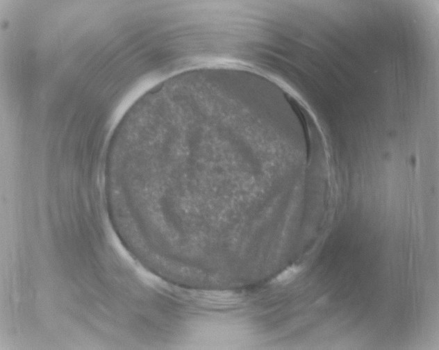 X0000051891007200507151934