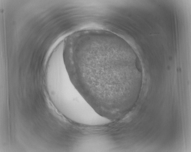 X0000051891008200507151934