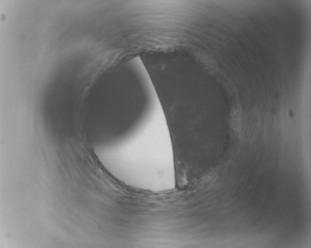 X0000051891009200507151933