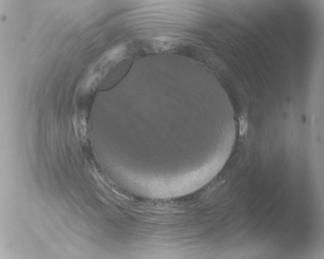 X0000051891011200507151933