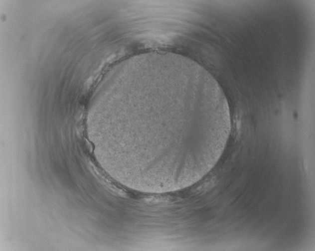 X0000051891012200507151933