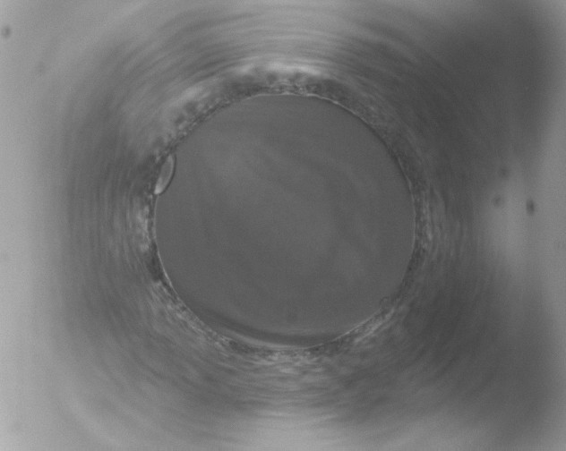 X0000051891013200507151933