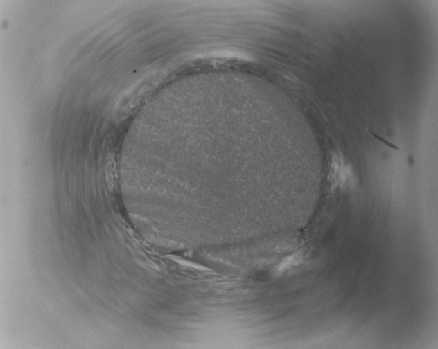 X0000051891014200507151933