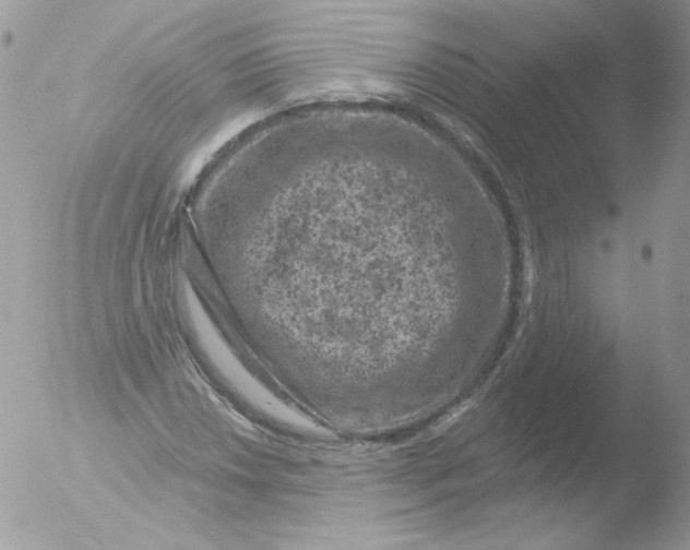 X0000051891018200507151933