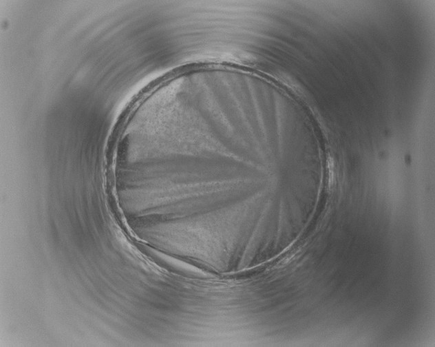 X0000051891020200507151933