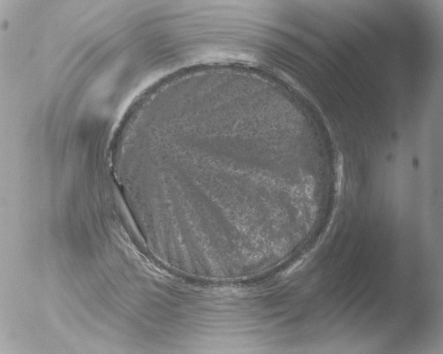 X0000051891021200507151933