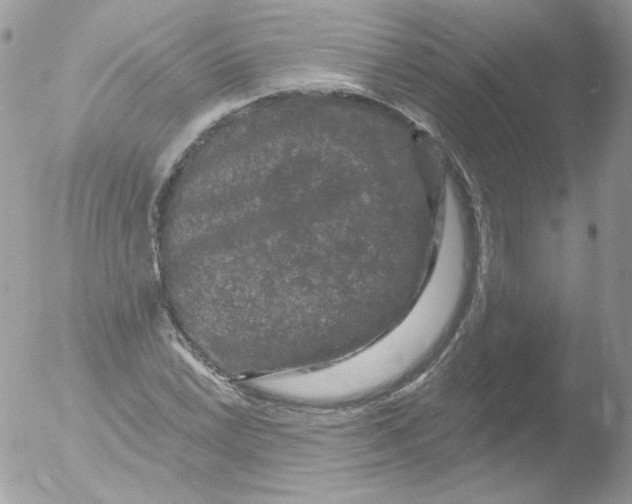 X0000051891022200507151933