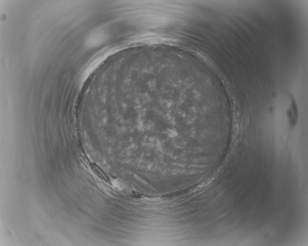 X0000051891023200507151933