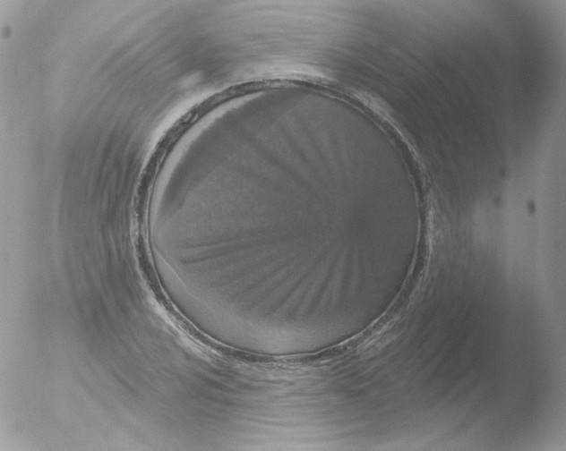 X0000051891024200507151933