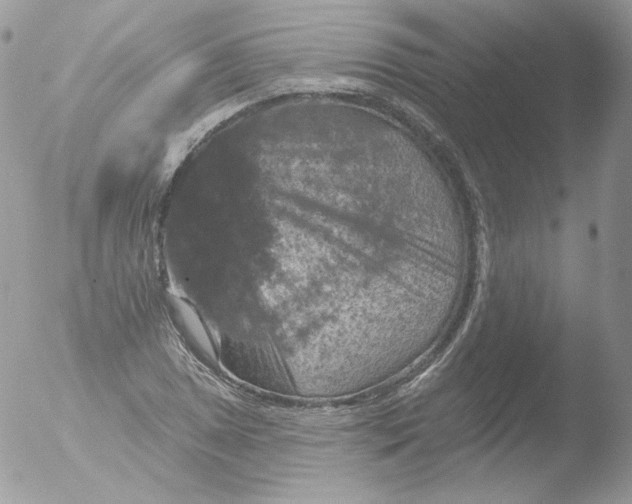 X0000051891025200507151933