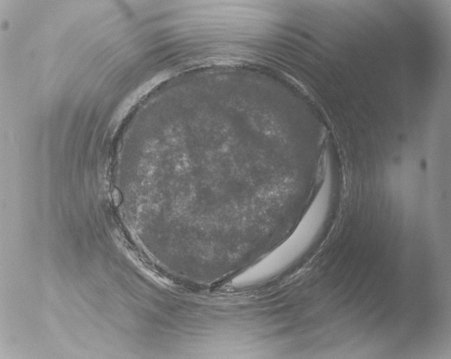 X0000051891026200507151933