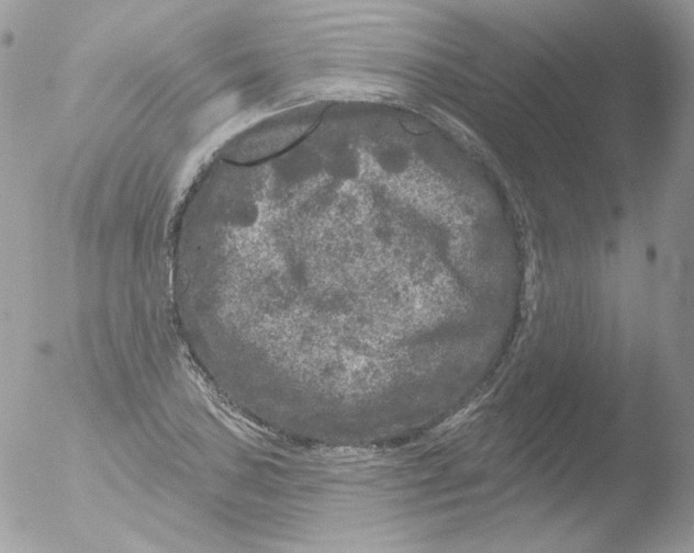 X0000051891027200507151933