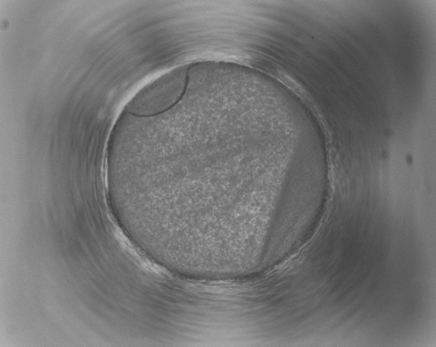 X0000051891028200507151933