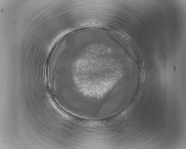 X0000051891030200507151933