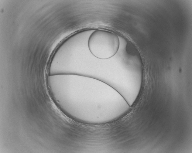 X0000051891032200507151933