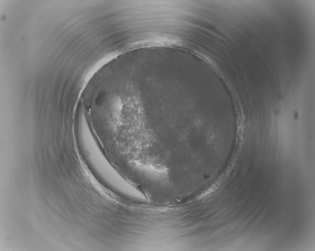 X0000051891034200507151933