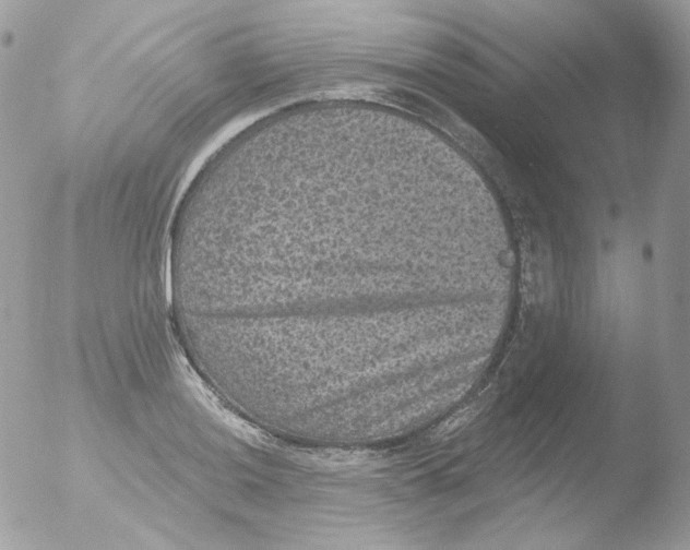 X0000051891036200507151933