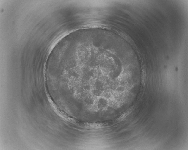 X0000051891039200507151933