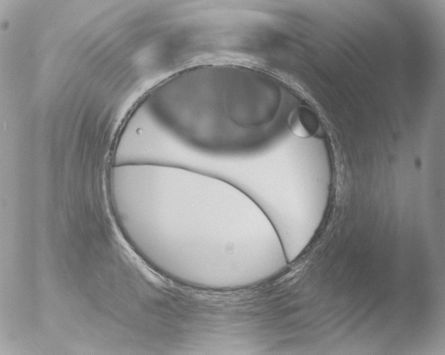 X0000051891040200507151933