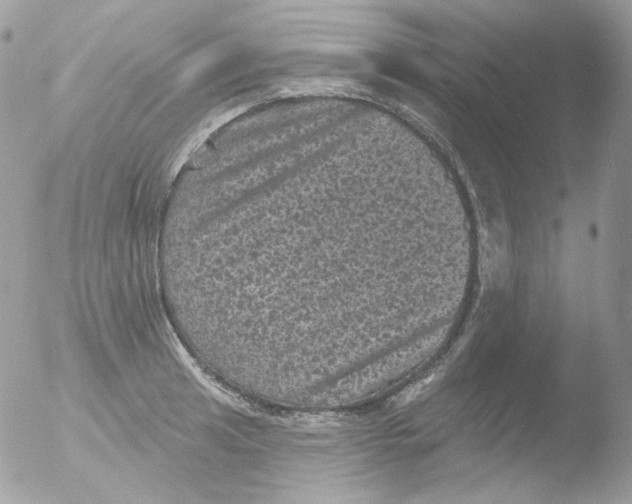 X0000051891041200507151933