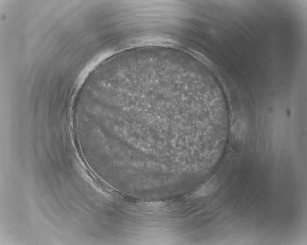 X0000051891043200507151933