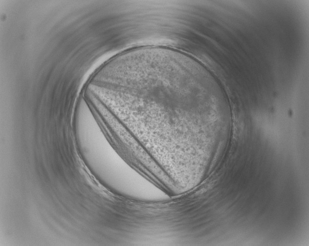 X0000051891044200507151933