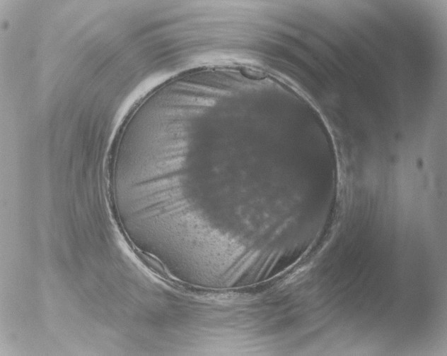 X0000051891045200507151933