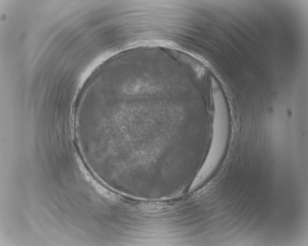 X0000051891046200507151933