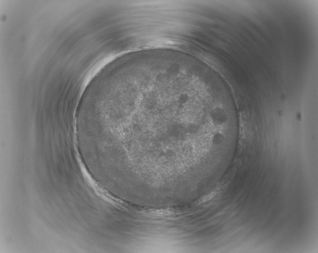 X0000051891047200507151933