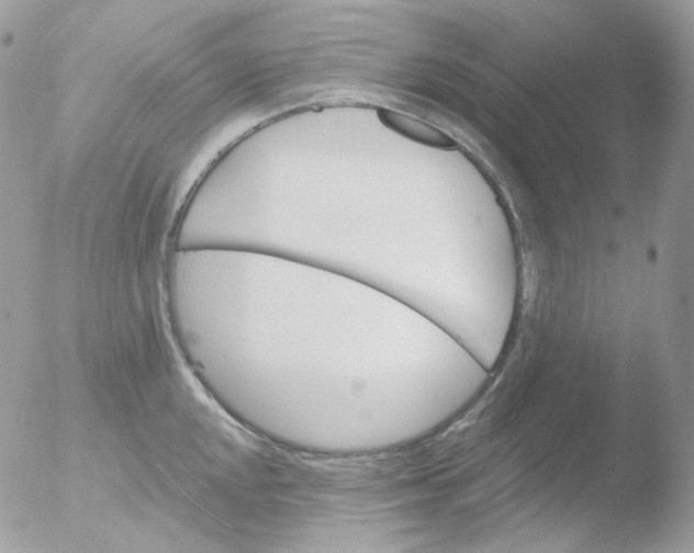 X0000051891048200507151933