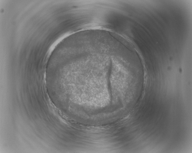 X0000051891051200507151933