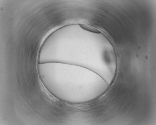 X0000051891052200507151933