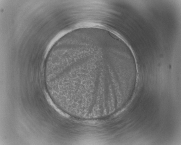 X0000051891053200507151934