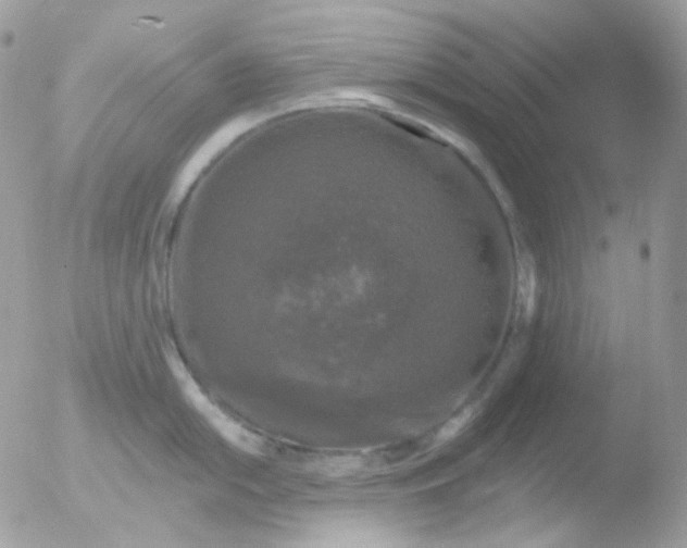 X0000051891054200507151934