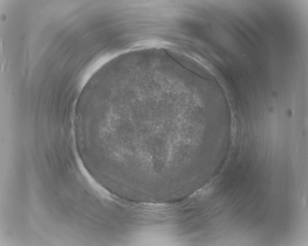 X0000051891055200507151934