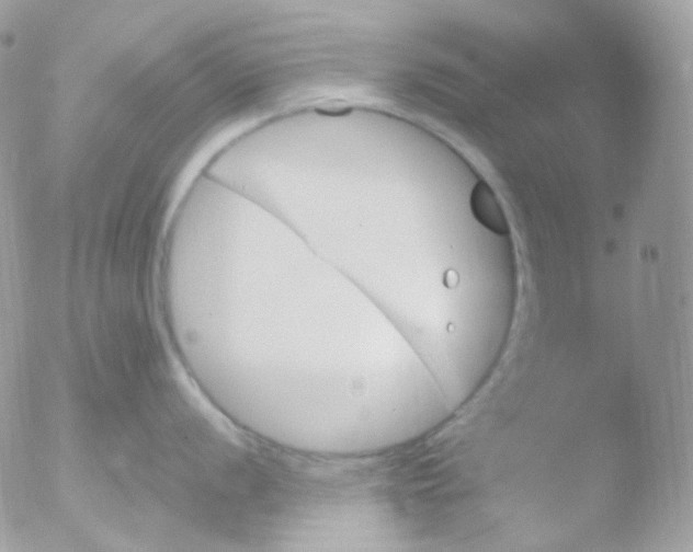 X0000051891056200507151934