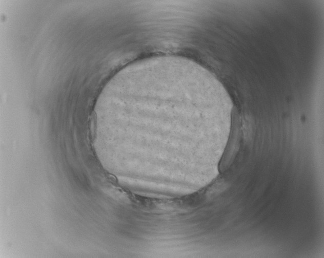 X0000051891057200507151933