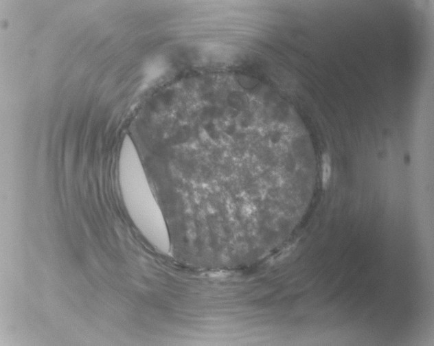 X0000051891059200507151933