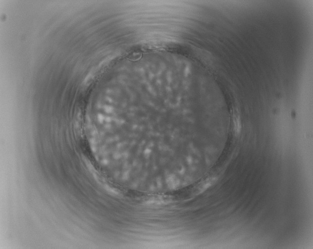 X0000051891060200507151933