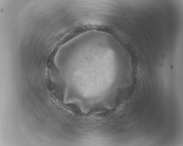 X0000051891061200507151933