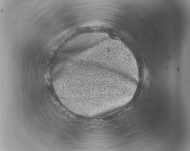 X0000051891062200507151933