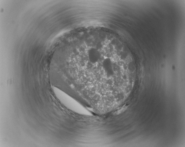 X0000051891063200507151933