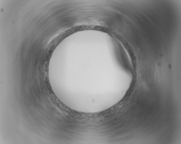 X0000051891064200507151933