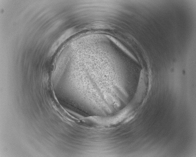 X0000051891065200507151933